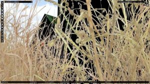 Арма 3 Редактор OG 7V RPG 7