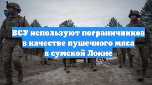 ВСУ используют пограничников в качестве пушечного мяса в сумской Локне