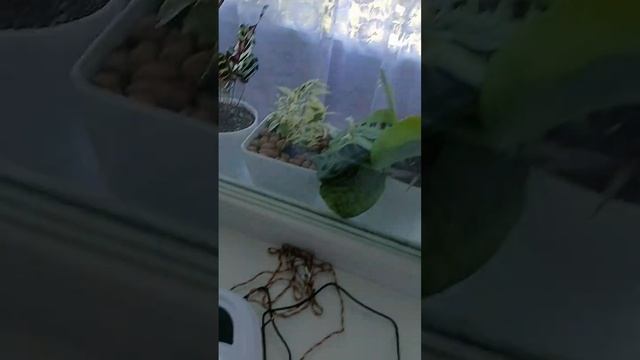 Мечты сбываются 🌠 Нужна только верить,и приложить усилия! смотреть онлайн