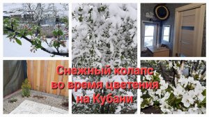 31. Весна на Кубани. Доделали прихожую и летнюю кухню. Выпал снег во время цветения.