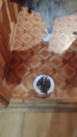 VID-20250515-WA0005.mp4