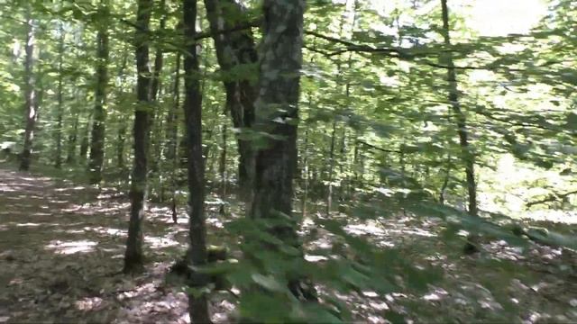 ✅"ФИОНА ВТОРОЕ ДЫХАНИЕ✅БезДУШИЕ ??..или Старые , Молодые ДУШИ ??БиоРоботы ? Вы с какого УРОВНЯ ..?? смотреть онлайн