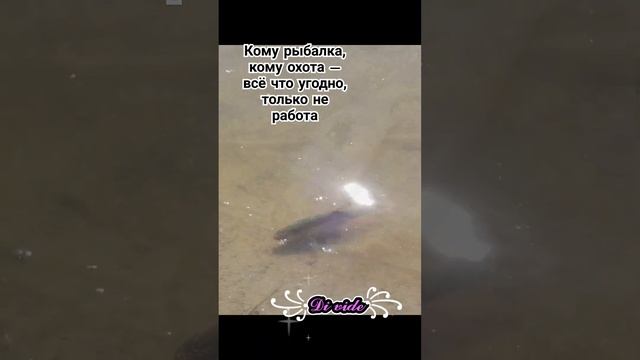 shortvideo рыбалка отдых охота viralvideo 2025