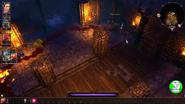 Divinity Original Sin 2: DE. Куда пойти в начале и где взять опыт на Побережье Жнеца Начало.
