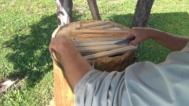 колода 24 июля 2 месяца после заселения смотреть онлайн