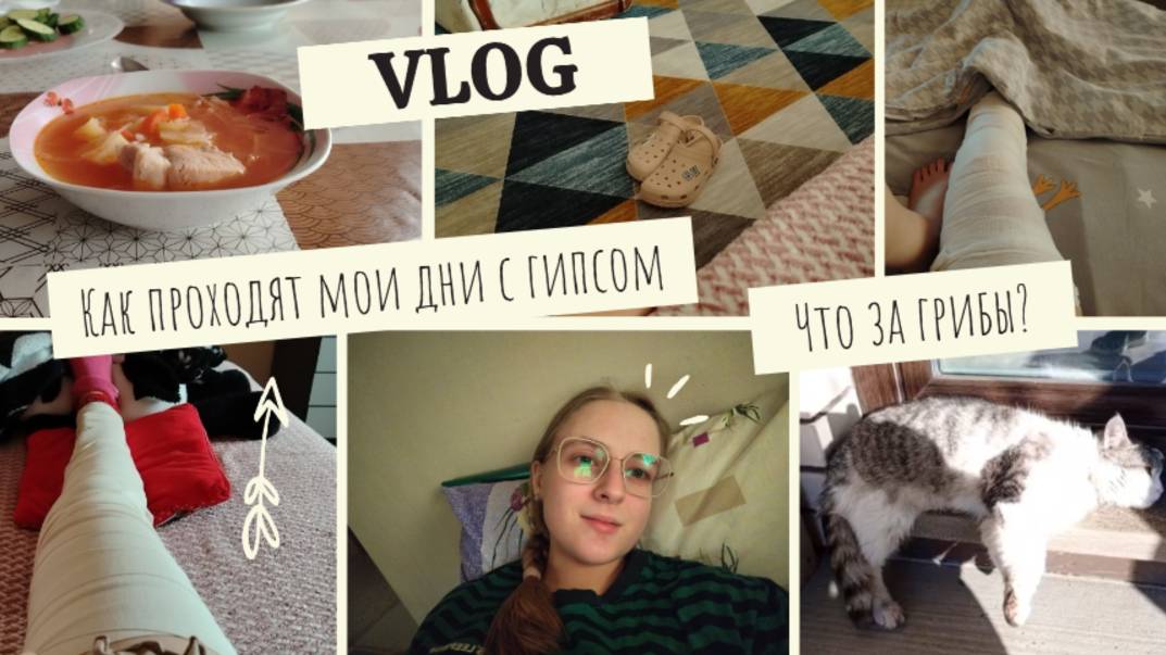 VLOG Как проходят мои дни с гипсом🤕 Что за грибы?🍄