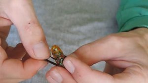 Как правильно одеть приманку на двойник Монтаж силиконовых приманок на двойник