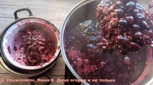 Вот самый ПРОСТОЙ СПОСОБ заготовки СОКА ИЗ ВИНОГРАДА на зиму! В магазине такой сок не купишь