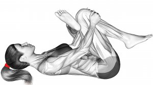 Утренняя тренировка Дома