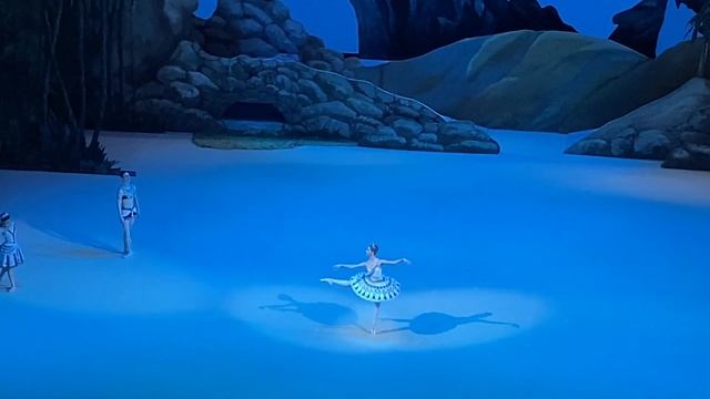 Маргарита ШРАЙНЕР смотреть онлайн