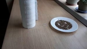 Как Правильно сажать Свеклу