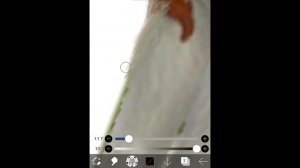 🍄Туториал по обработке шерсти WildCraft🍄