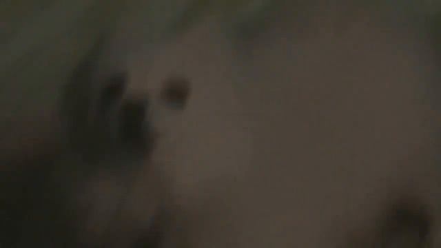 САБАЧКА ТАХА0 V 3-DE HAIGH KWALITI