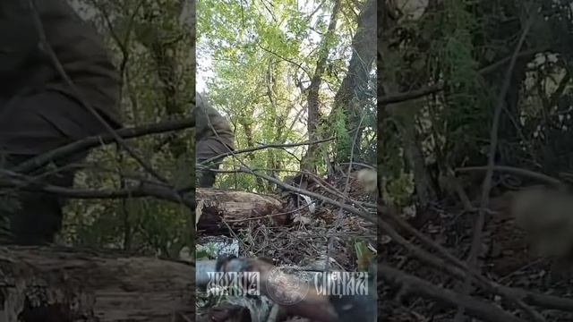 Продолжается движение штурмовой группы по району обороны противника.