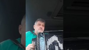 снег на зеленых листьях..