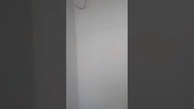 Сдача квартиры на Магеллана