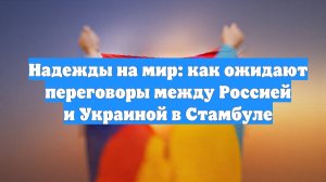 Надежды на мир: как ожидают переговоры между Россией и Украиной в Стамбуле