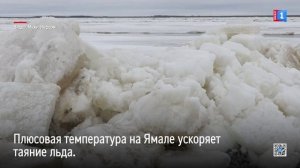 Ледоходу на Оби осталось пройти 121 км до Салехарда