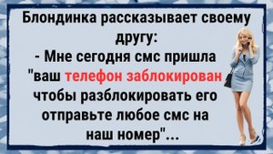 🐸 Блондинка, Блокировка, СМС и Телефон ✅анекдоты ✅юмор ✅смех #позитив #прикол