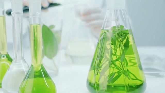 Серия Experalta Chronolong возвращая коже ее природный ритм и красоту Косметика Siberian Wellnes смотреть онлайн