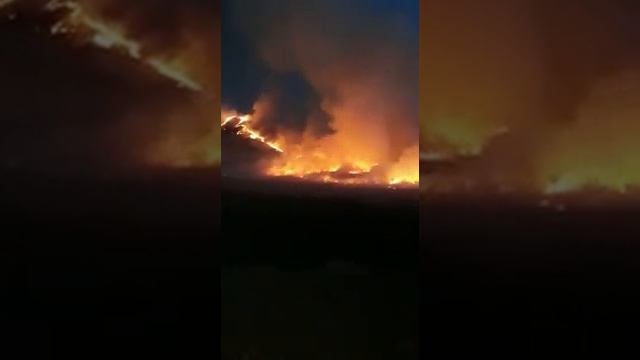 Қарағанды облыс Ақтоғай ауданы Ақтас ауылында өрт смотреть онлайн