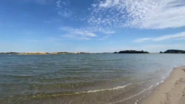 Зарисовки с натуры. Остров Фюн, Дания с Мишей Сахаровым и собакой Тедди смотреть онлайн