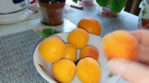 фрукты  в мае