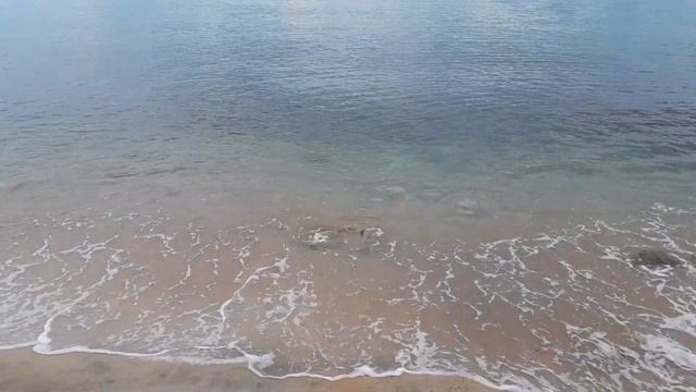 Золовка до сих пор не может мне простить, что ее брат ж? смотреть онлайн