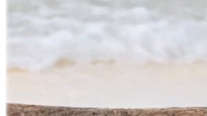 [Лето, плавки, рок-н-ролл!] [Зайчик.] [3 АВ/ 3 AU.] [Рома/Антон,