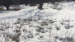 Так мы пробирались весной на пасеку на УАЗ патриот.