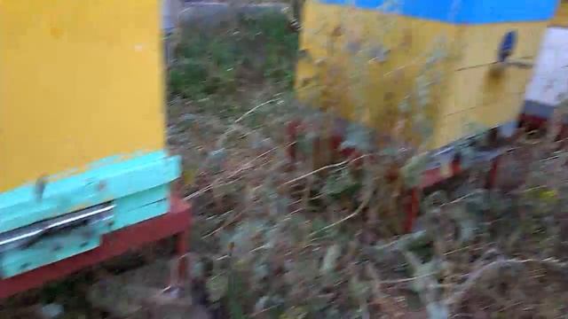 Обсушка рамок смотреть онлайн