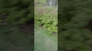 игра в прятки