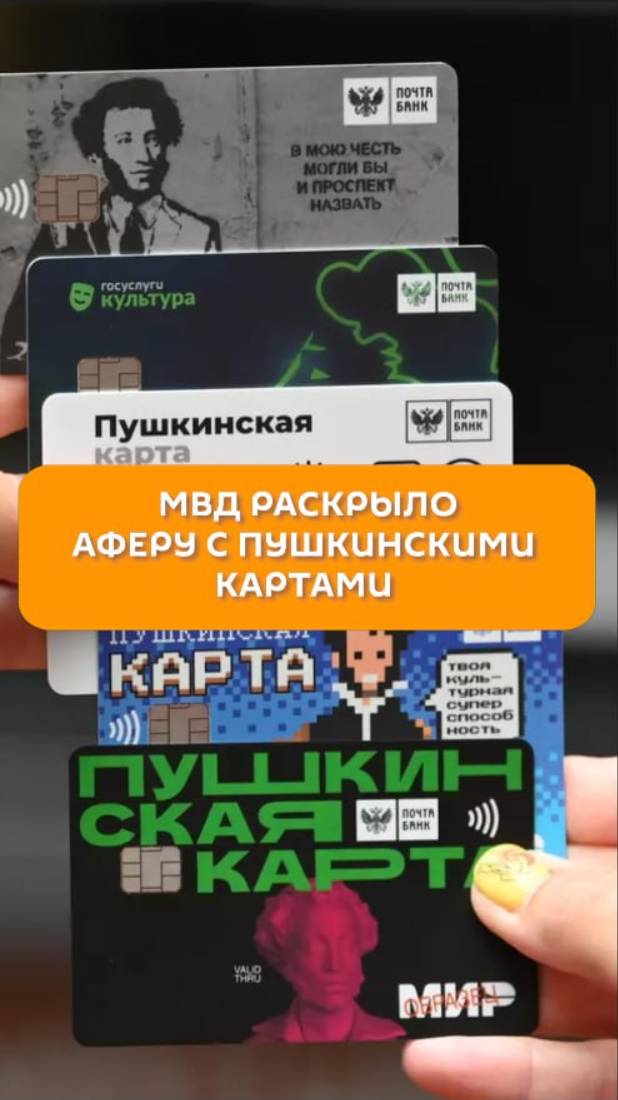 МВД раскрыло аферу с Пушкинскими картами
