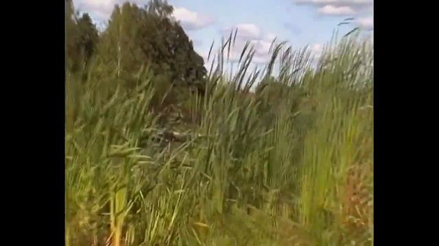Болотоходная лодка с мотором 27 л/с