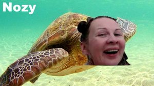 ХТО Я МЕМ!RYTP!НОВЫЙ КОНТЕНТ!