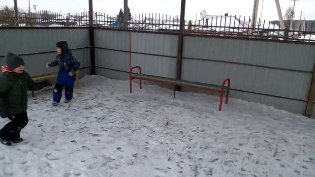 Пингвины и медведь смотреть онлайн