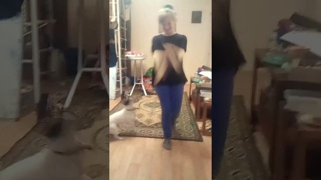 какаято отаку дэнсит под tokyo machine. реакция собаки