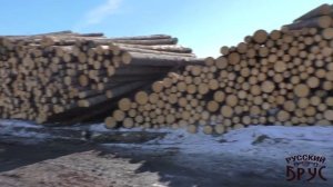 Заготовка древесины