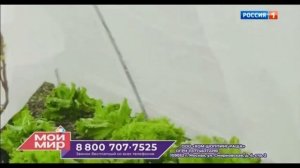 Анонсы и реклама (Россия-1, 27.03.2021) (5)