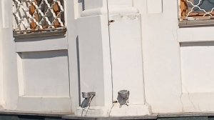 Караульная гора ,Красноярск