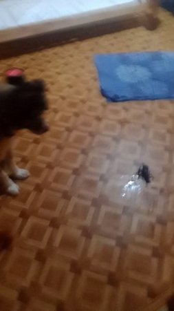 VID_20250515_084401.mp4