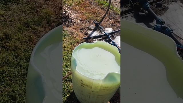 голубика , малина май 2024. смотреть онлайн