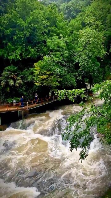 Пусть всегда, будет мир. #абхазия #лето #природа #отдых #отпуск #мир #реки #рай#умныеслова смотреть онлайн