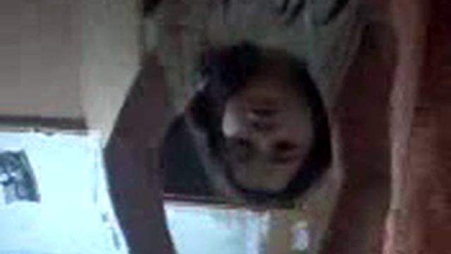 Эмилия смотреть онлайн