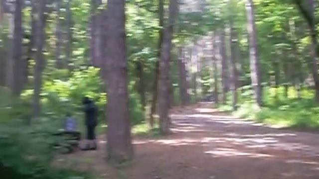 Витоша :- Песента на гората.