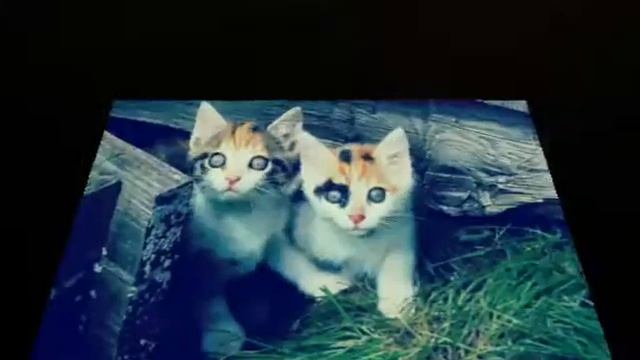 Ну вот оно счастье смотреть онлайн