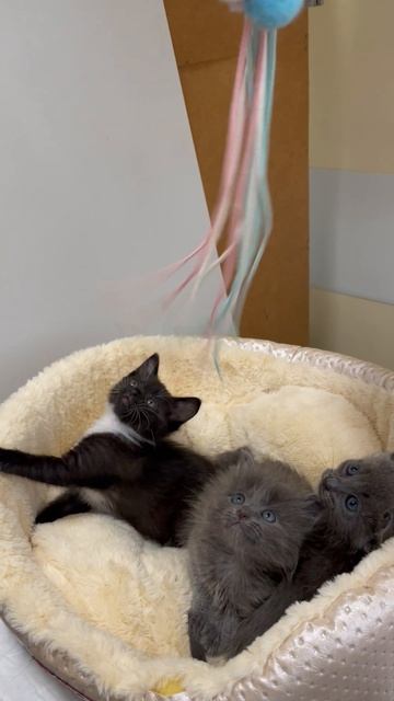 16-05-2025 смотреть онлайн