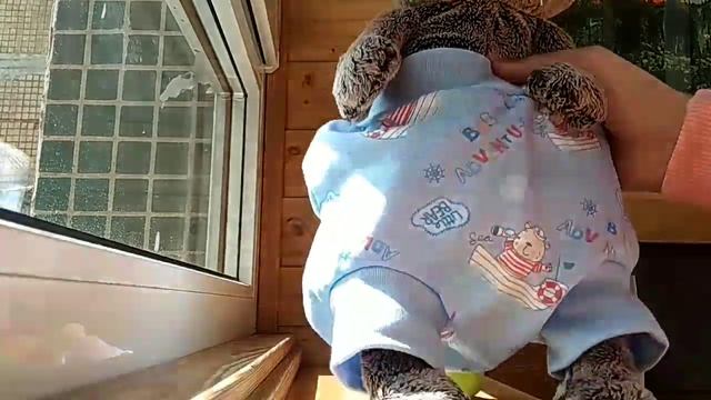 Иду за новой одеждой для басика 💚 смотреть онлайн