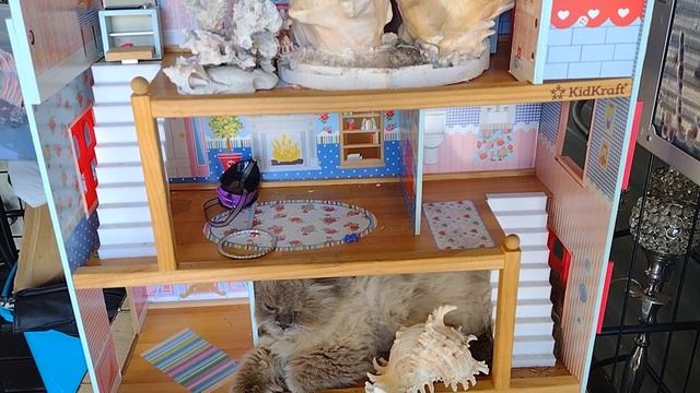 Handsome Kiryusha in his three-story mansion/Красавчик Кирюша в своем трехэтажном особняке смотреть онлайн