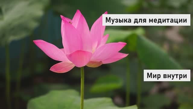 Музыка для медитации 10 минут | Медитация без слов для успокоения